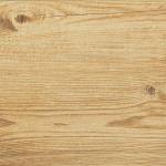 Img 778