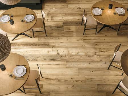 Immagine della galleria